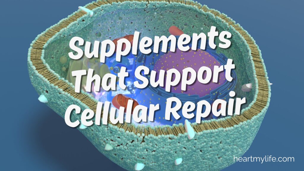 Supplements that support cellular repair